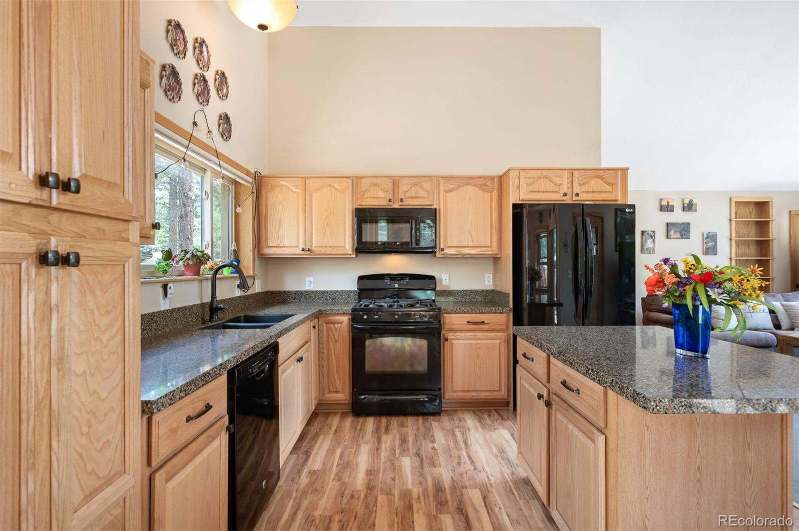 21 Crystal Rock Road Bailey CO 80421