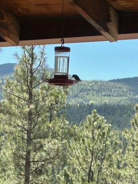 34 Normandy Road Evergreen CO 80439