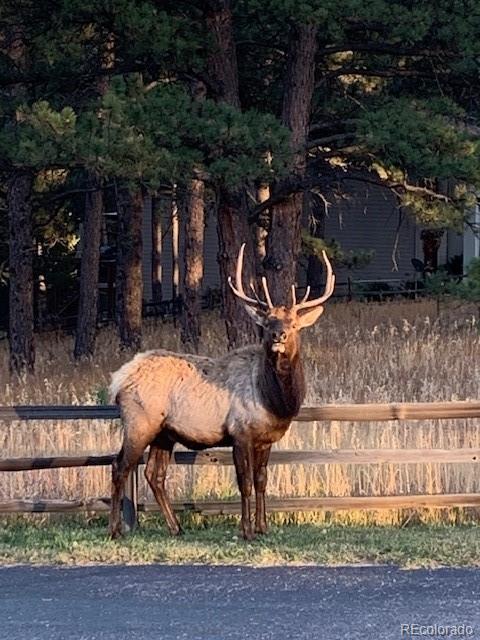 34 Normandy Road Evergreen CO 80439