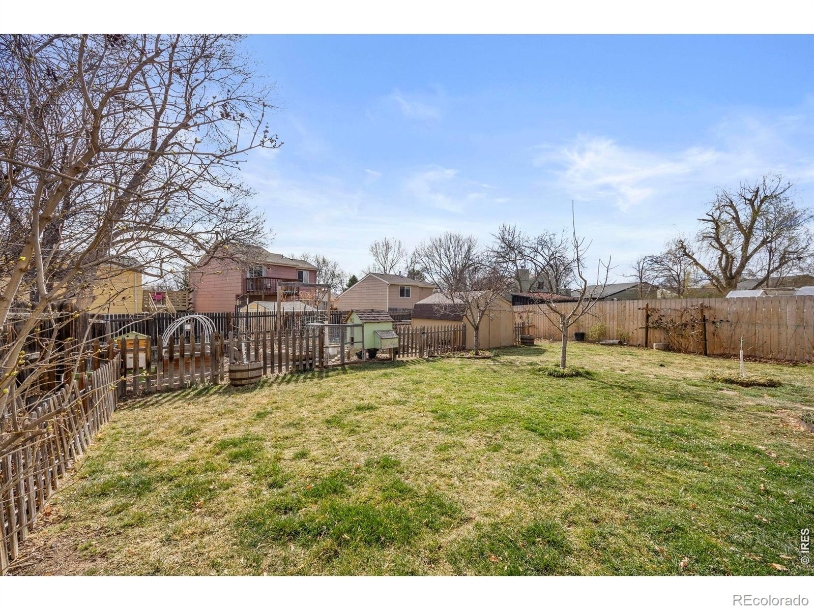 1816 Rice Street Longmont CO 80501