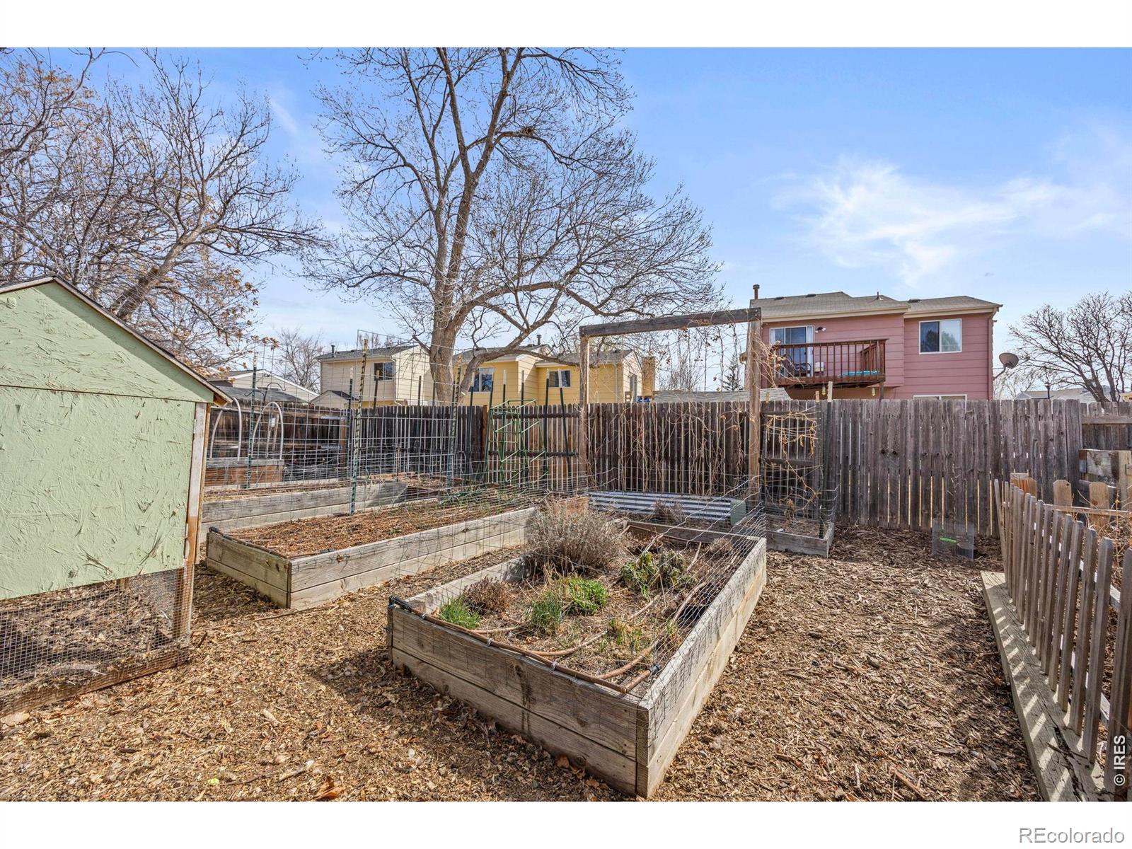 1816 Rice Street Longmont CO 80501