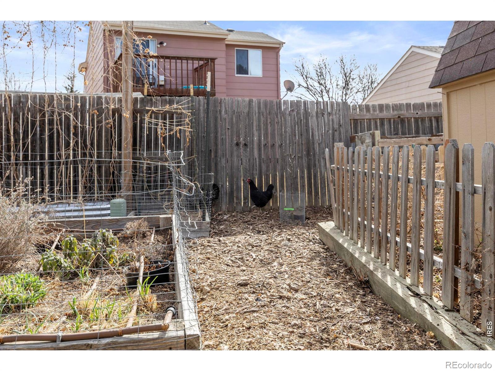 1816 Rice Street Longmont CO 80501
