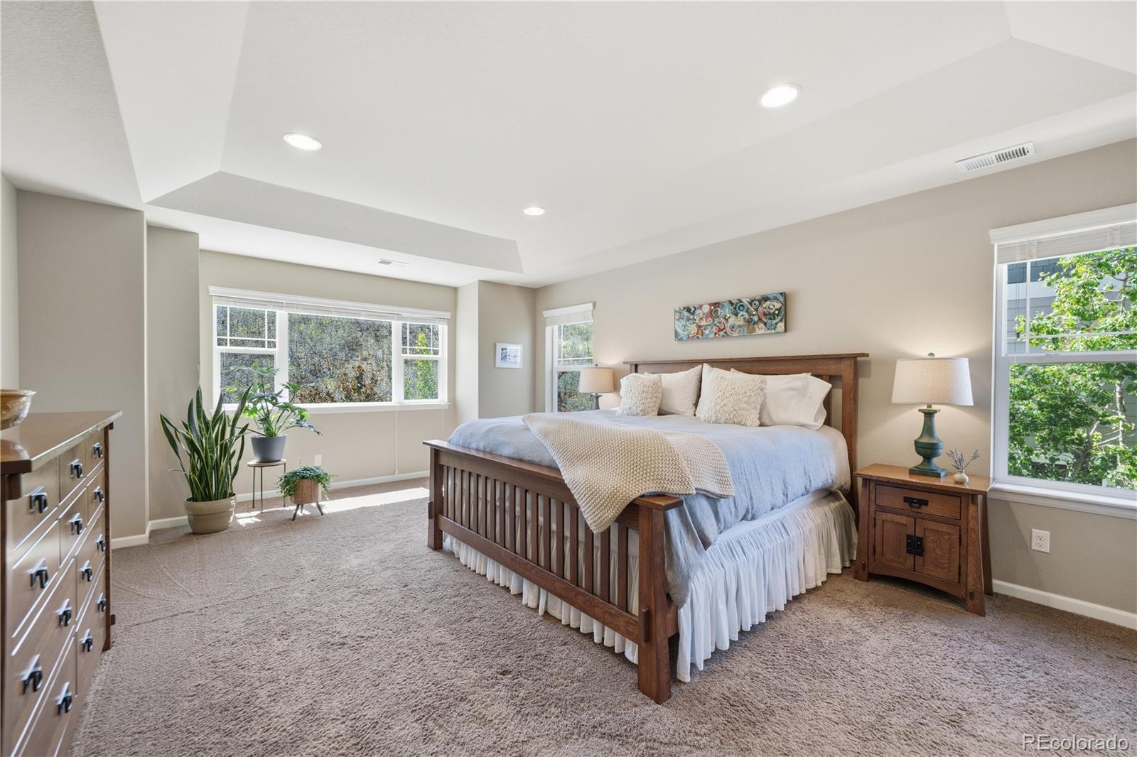 3177 Starry Night Loop Castle Rock CO 80109