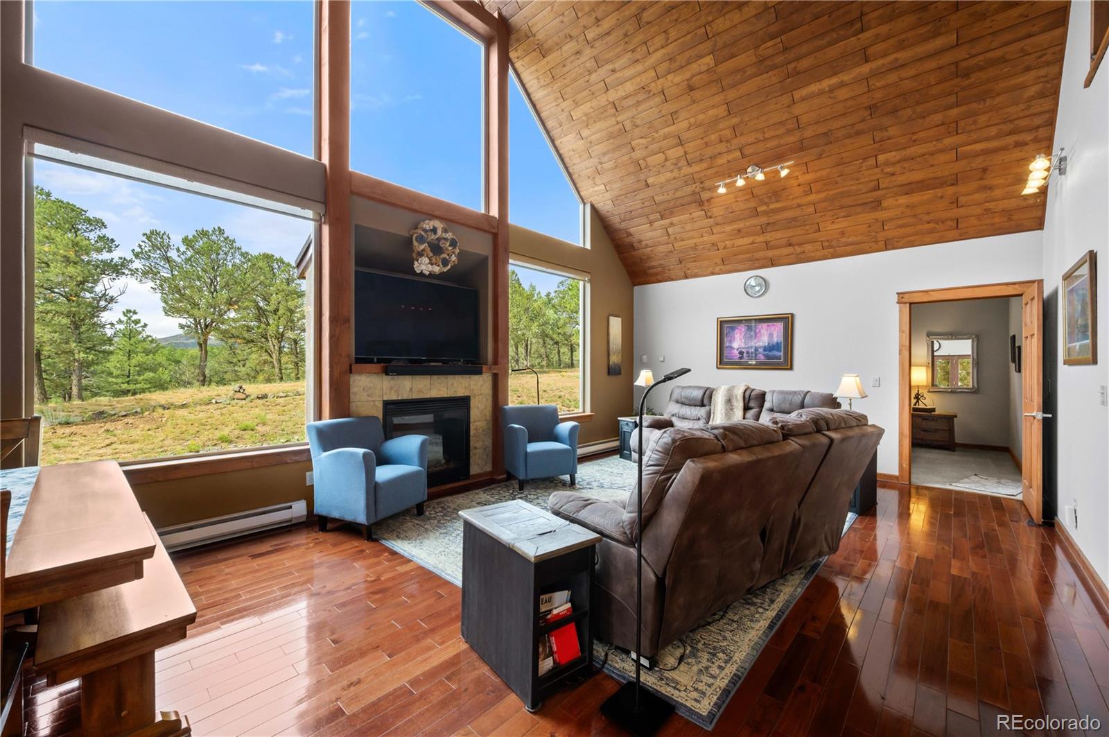 477 W View Road Cotopaxi CO 81223