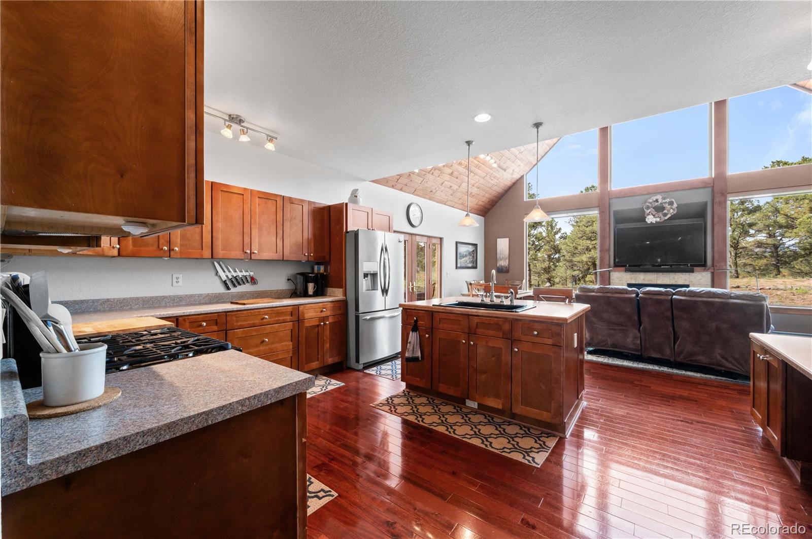 477 W View Road Cotopaxi CO 81223