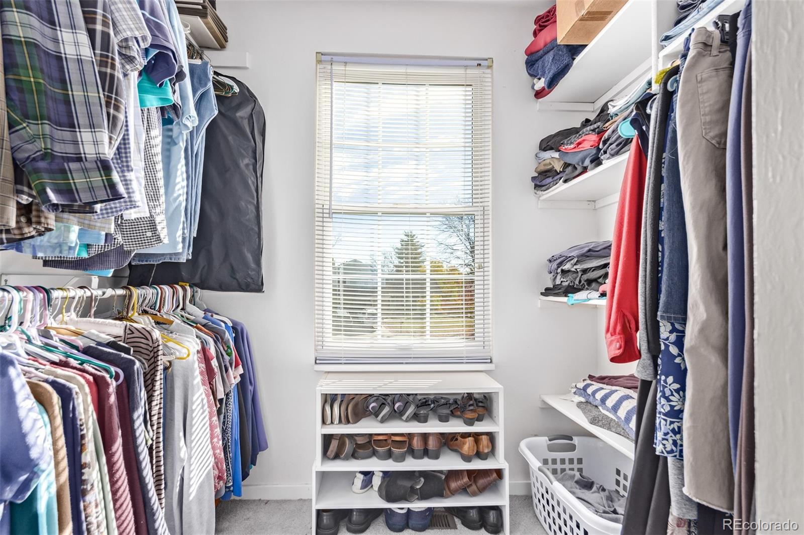 8285 Holland Court Arvada CO 80005