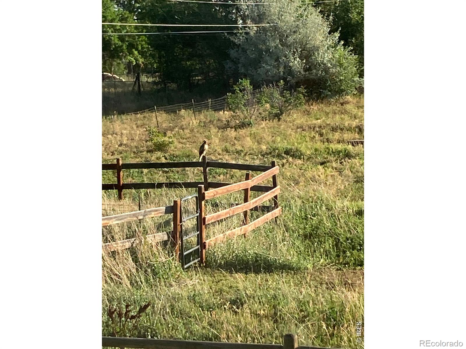 4490 Clay Street Boulder CO 80301
