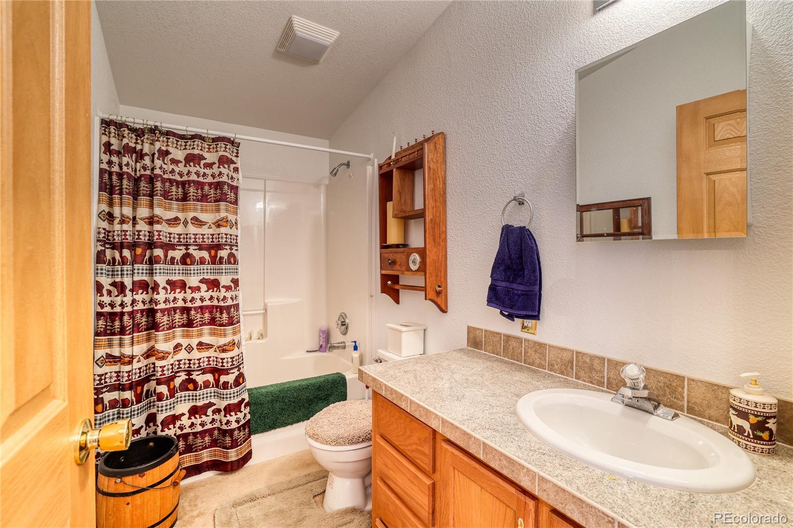 10 Stuart Vista Court Idaho Springs CO 80452