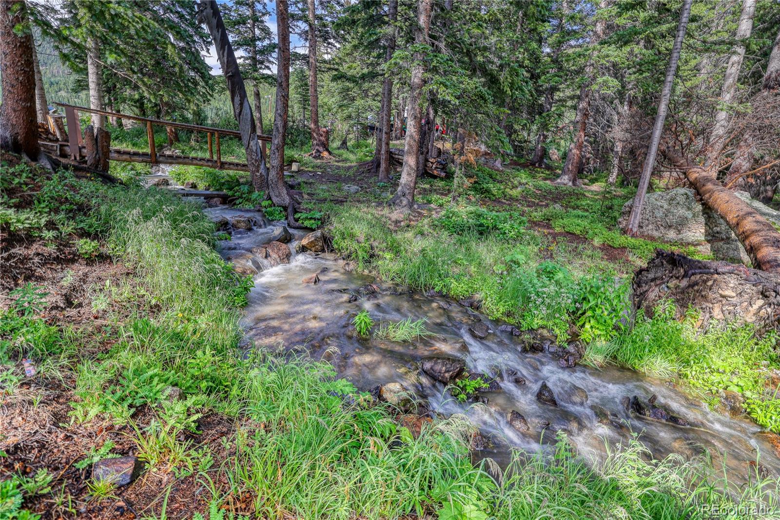 10 Stuart Vista Court Idaho Springs CO 80452