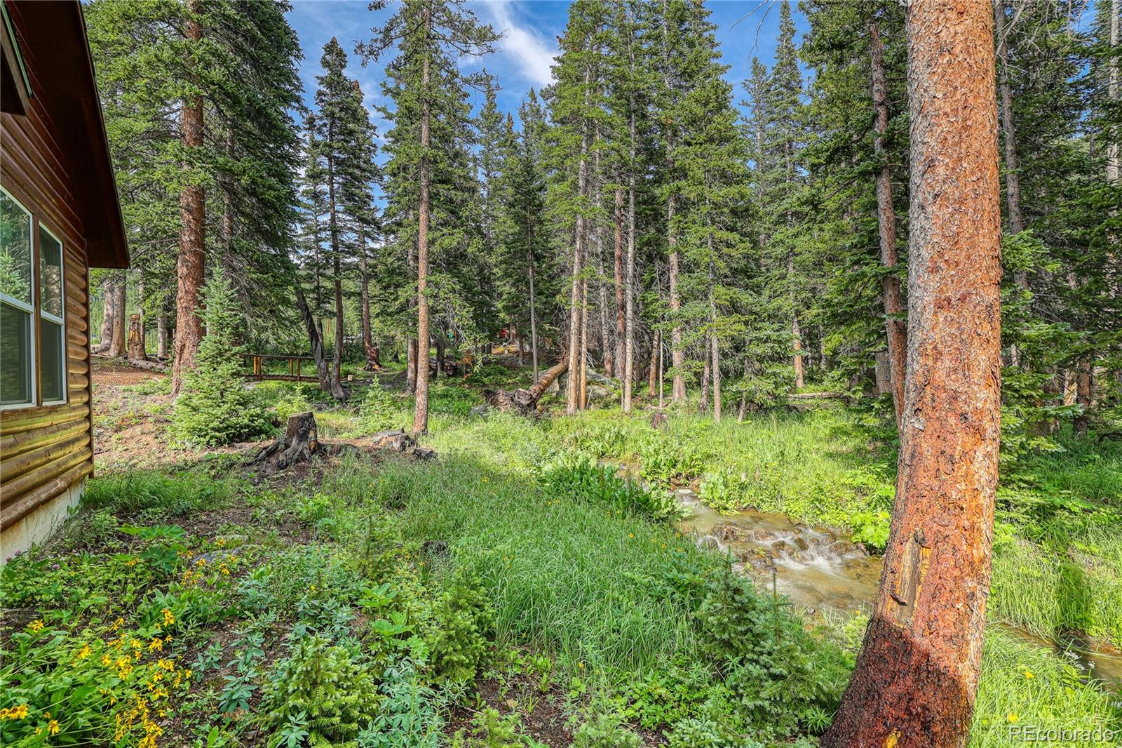 10 Stuart Vista Court Idaho Springs CO 80452