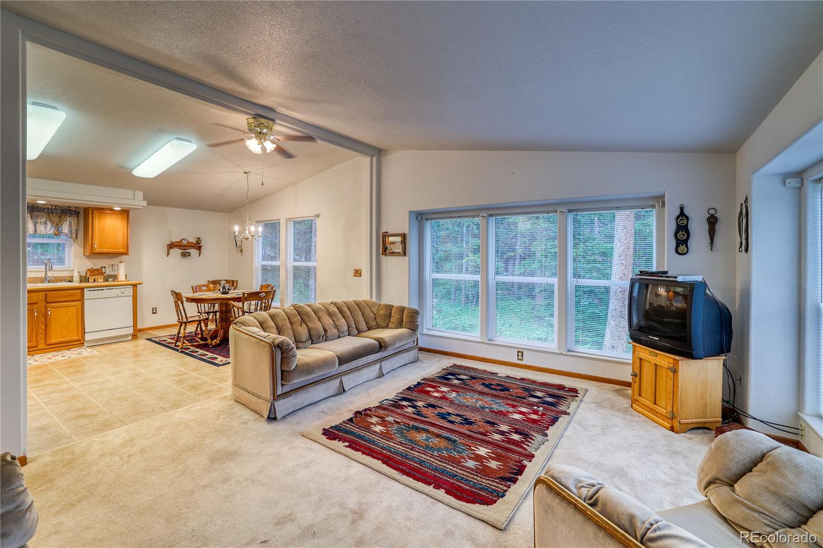 10 Stuart Vista Court Idaho Springs CO 80452