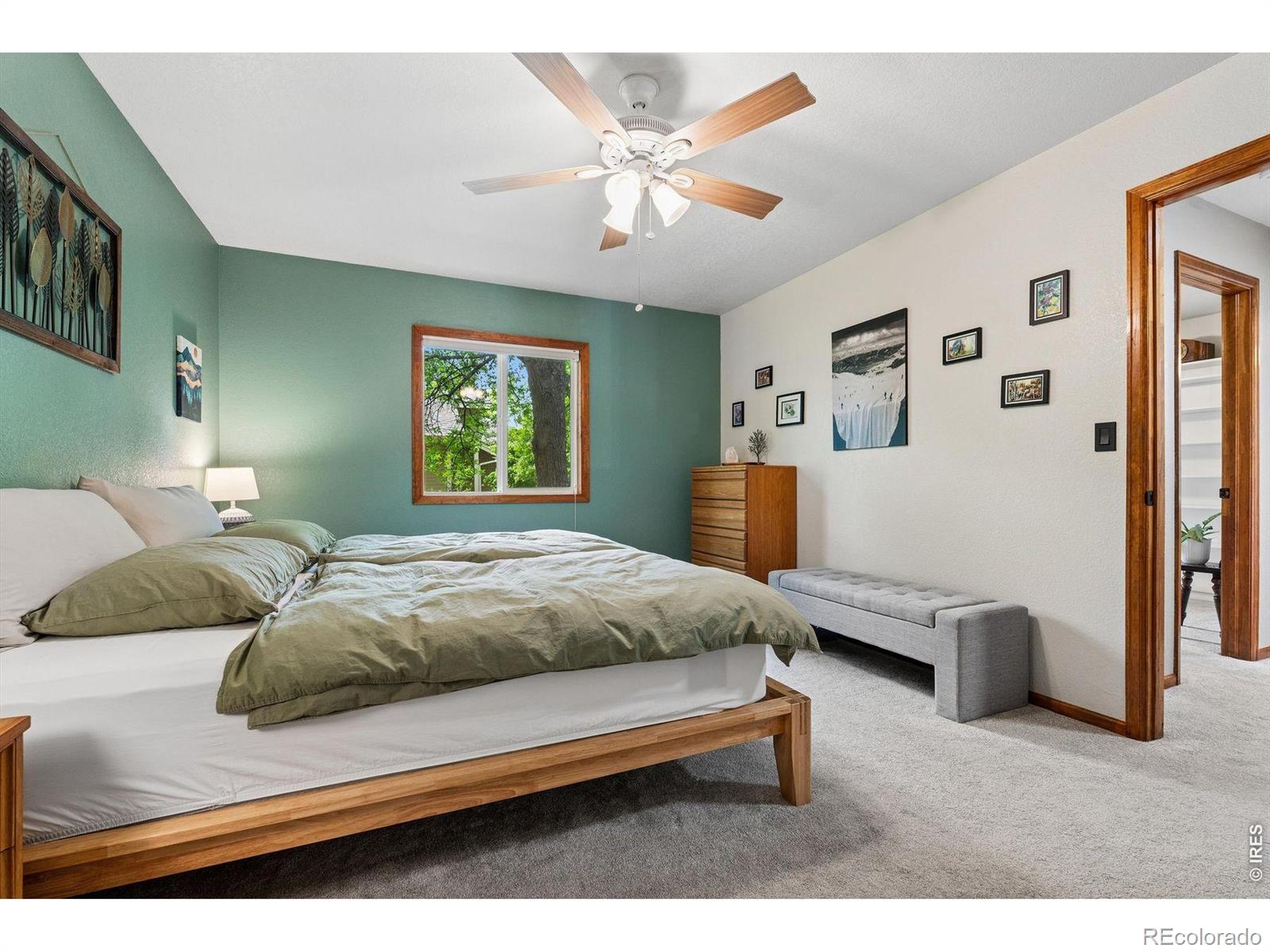 4503 Hibiscus Street Fort Collins CO 80526