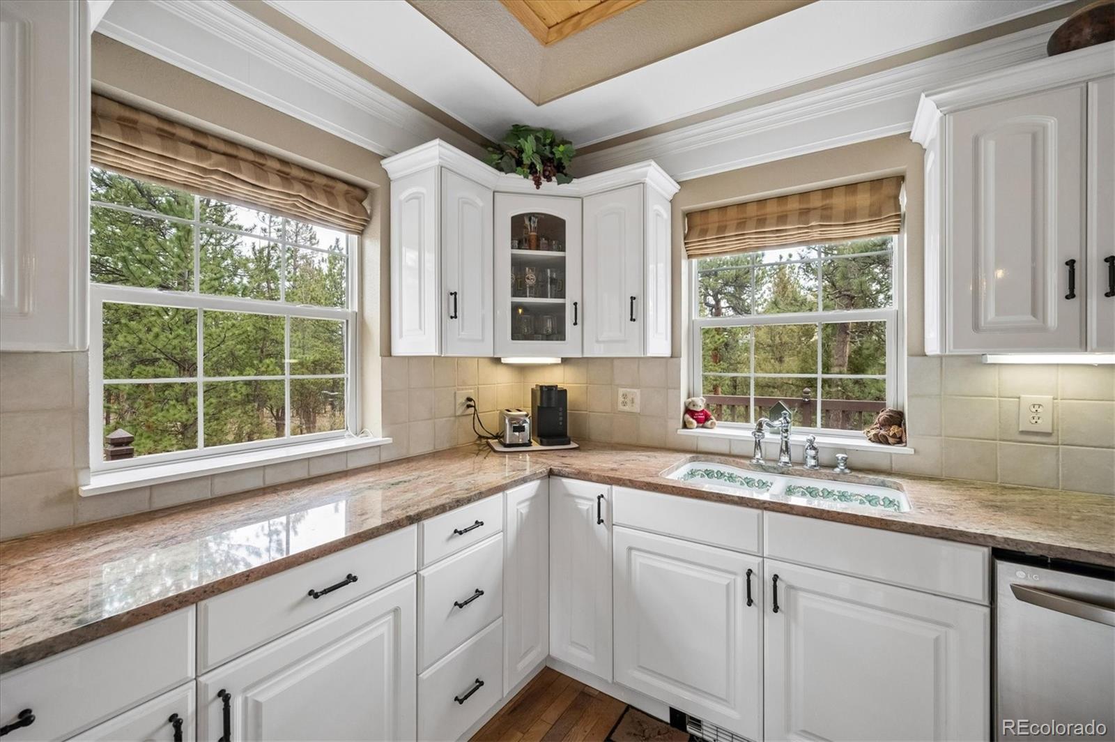 410 Spring Drive Pine CO 80470