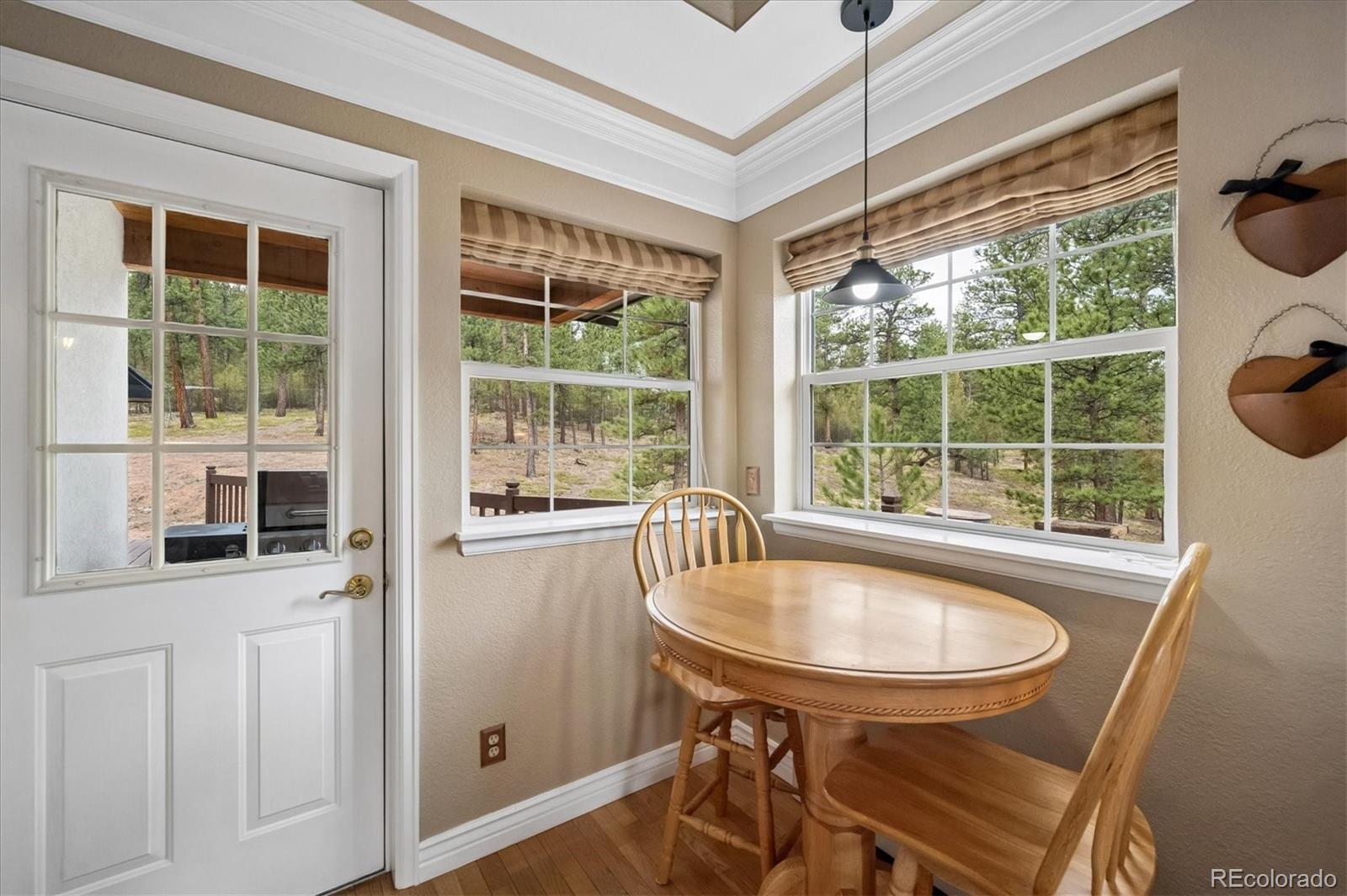 410 Spring Drive Pine CO 80470