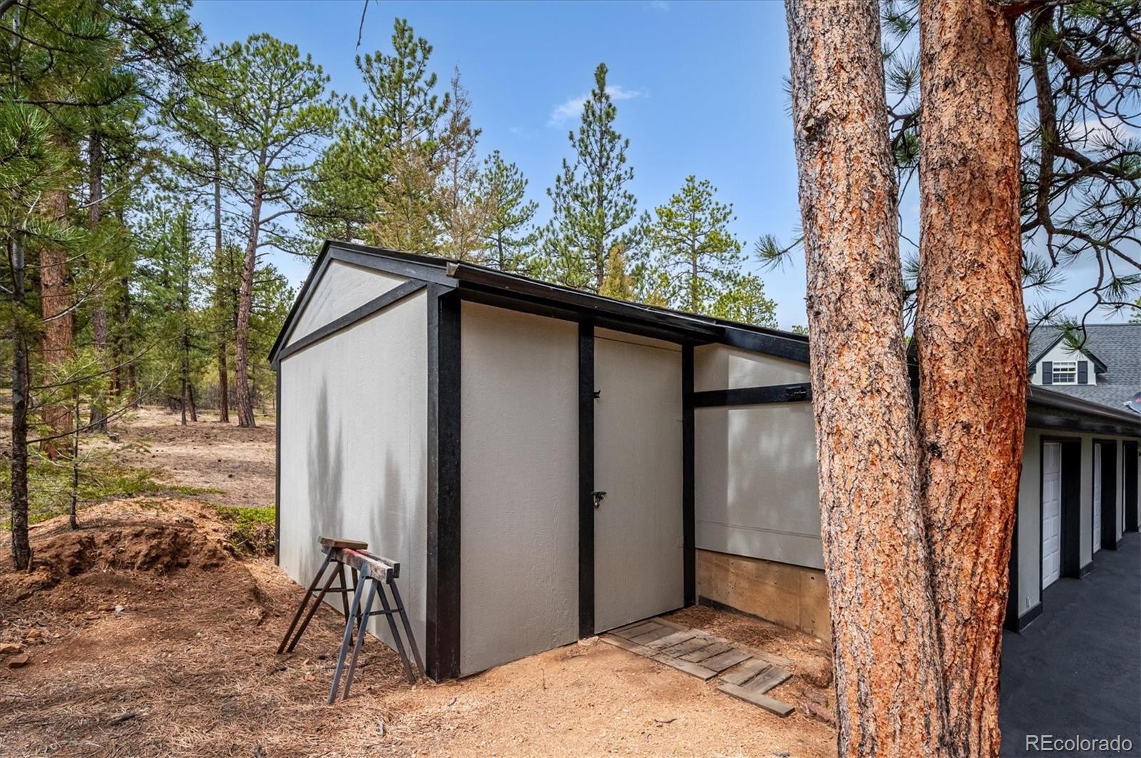 410 Spring Drive Pine CO 80470