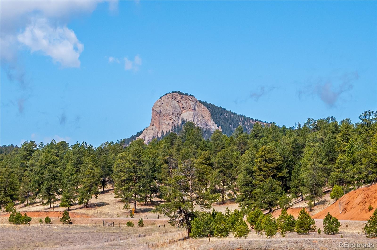 410 Spring Drive Pine CO 80470