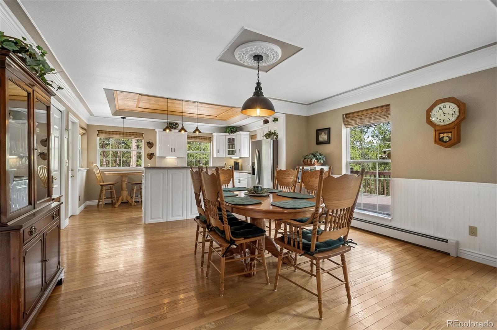 410 Spring Drive Pine CO 80470