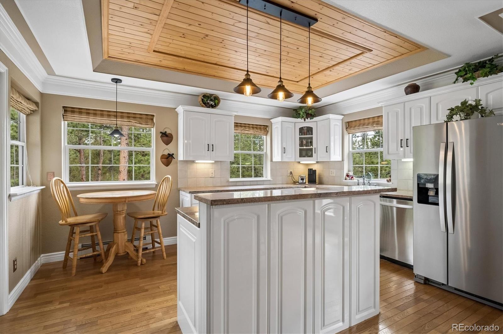 410 Spring Drive Pine CO 80470
