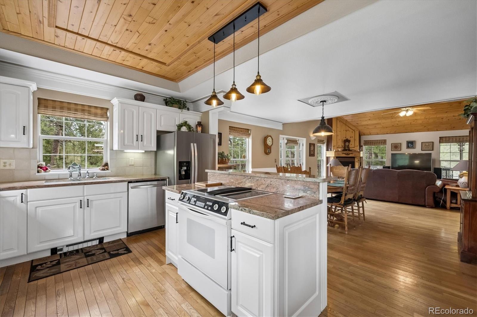 410 Spring Drive Pine CO 80470