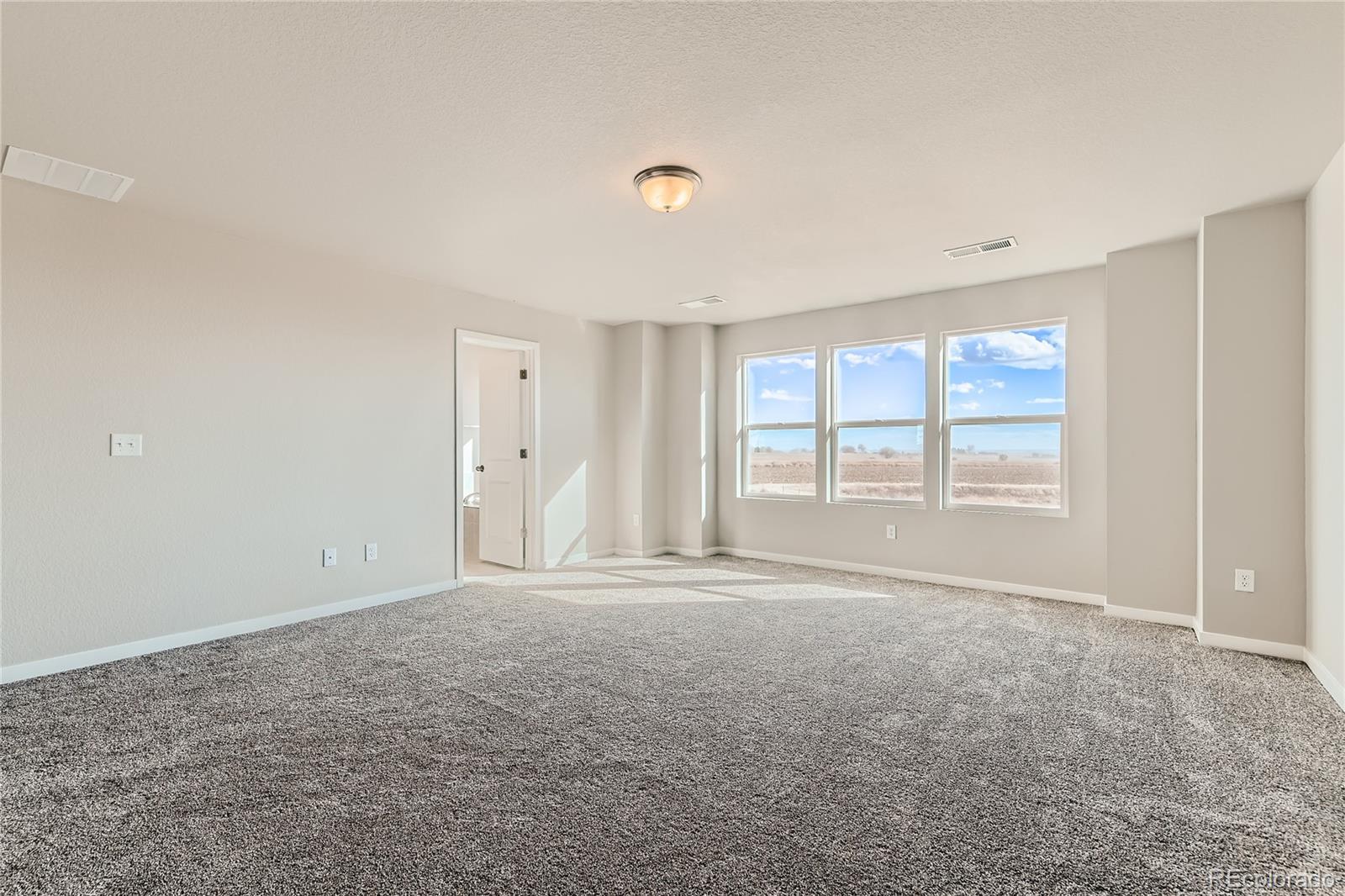 2344 Galloway Street Mead CO 80542