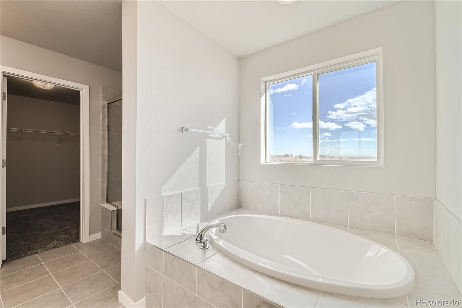 2344 Galloway Street Mead CO 80542