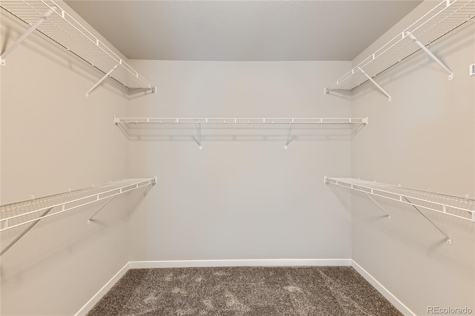 2344 Galloway Street Mead CO 80542