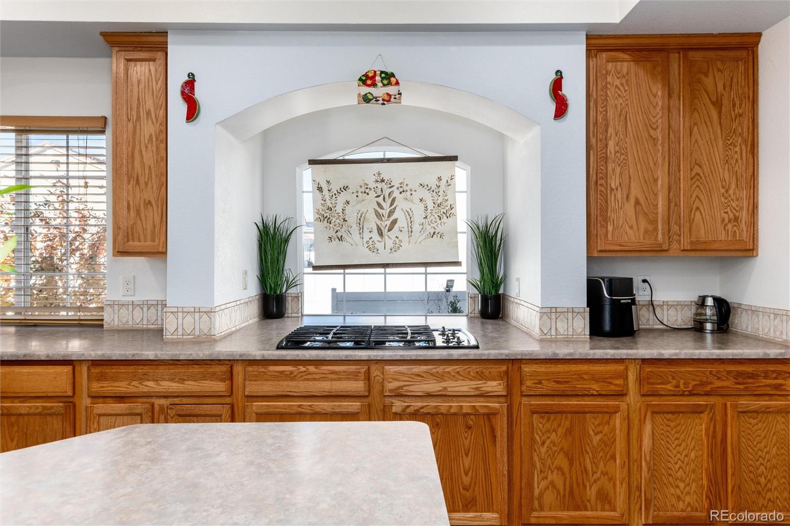5293 Malaya Street Denver CO 80249