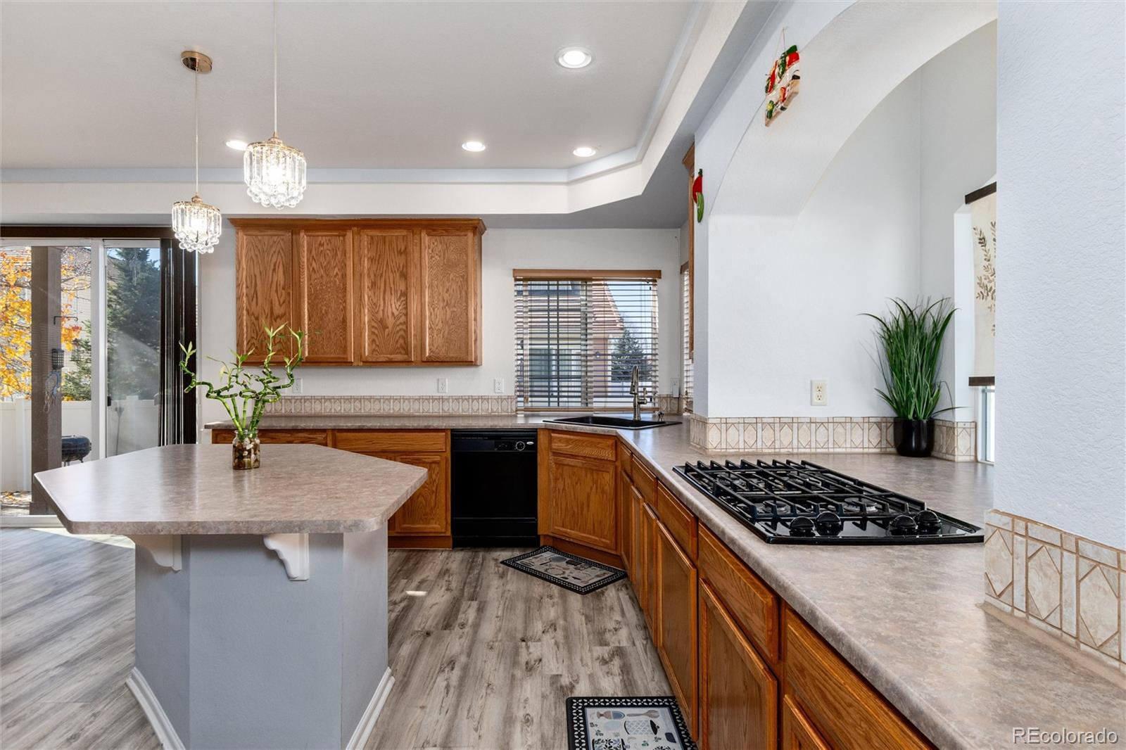 5293 Malaya Street Denver CO 80249