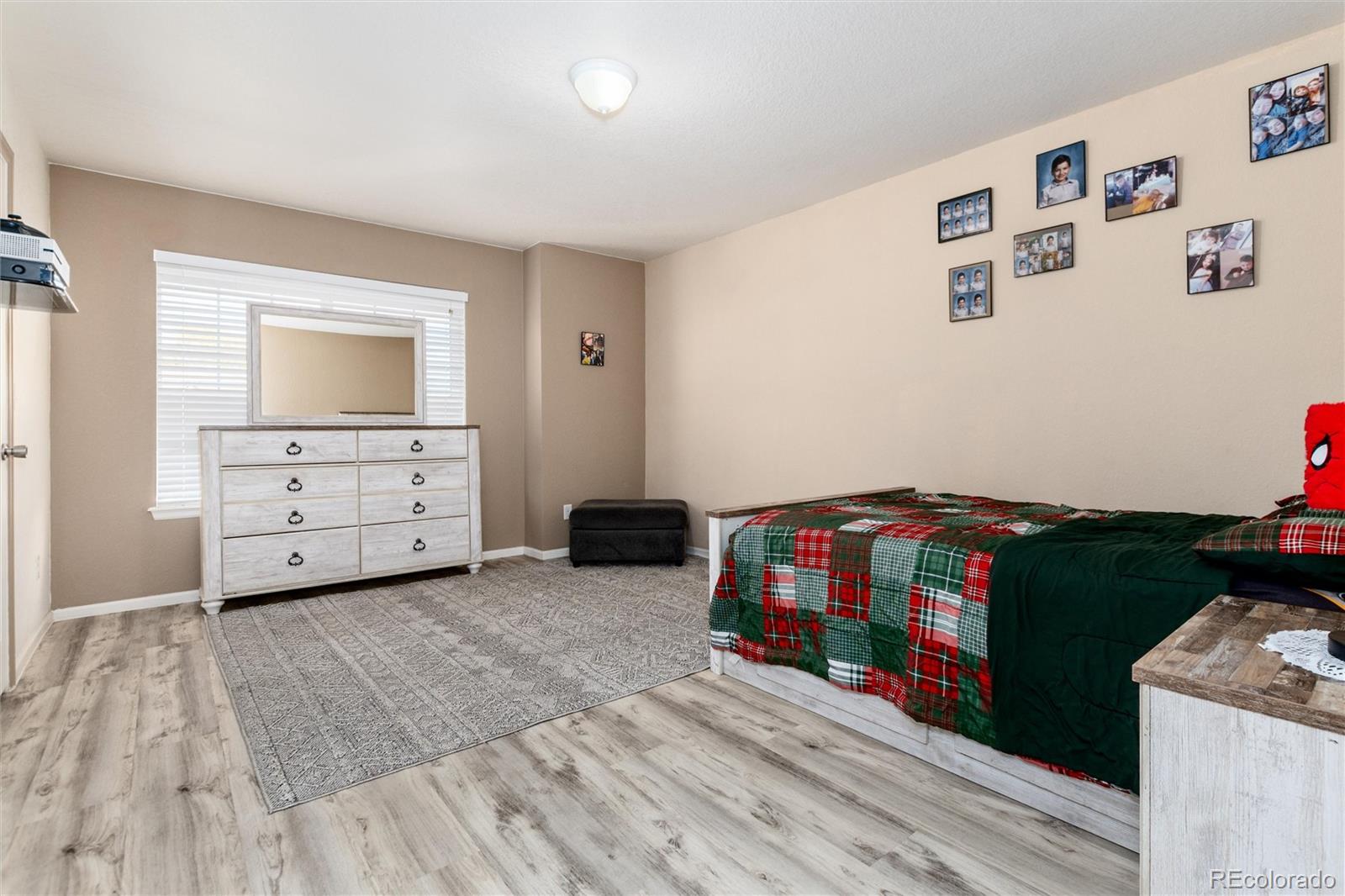 5293 Malaya Street Denver CO 80249