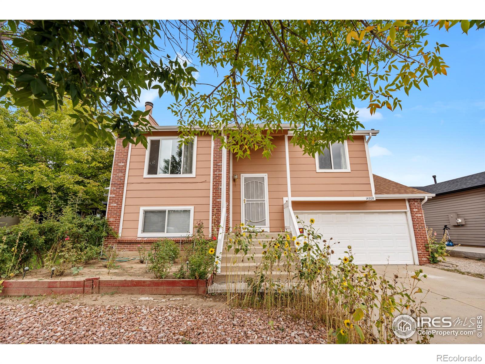 14509 Andrews Drive Denver CO 80239