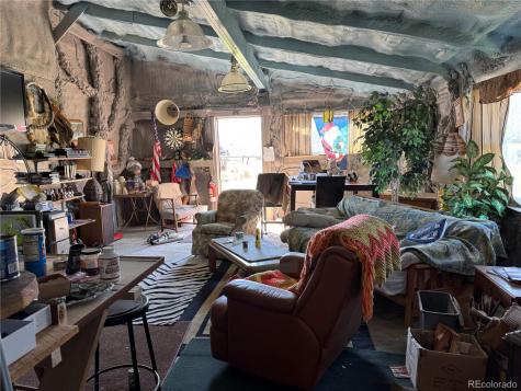 50002 County Road Ll56 Villa Grove CO 81155