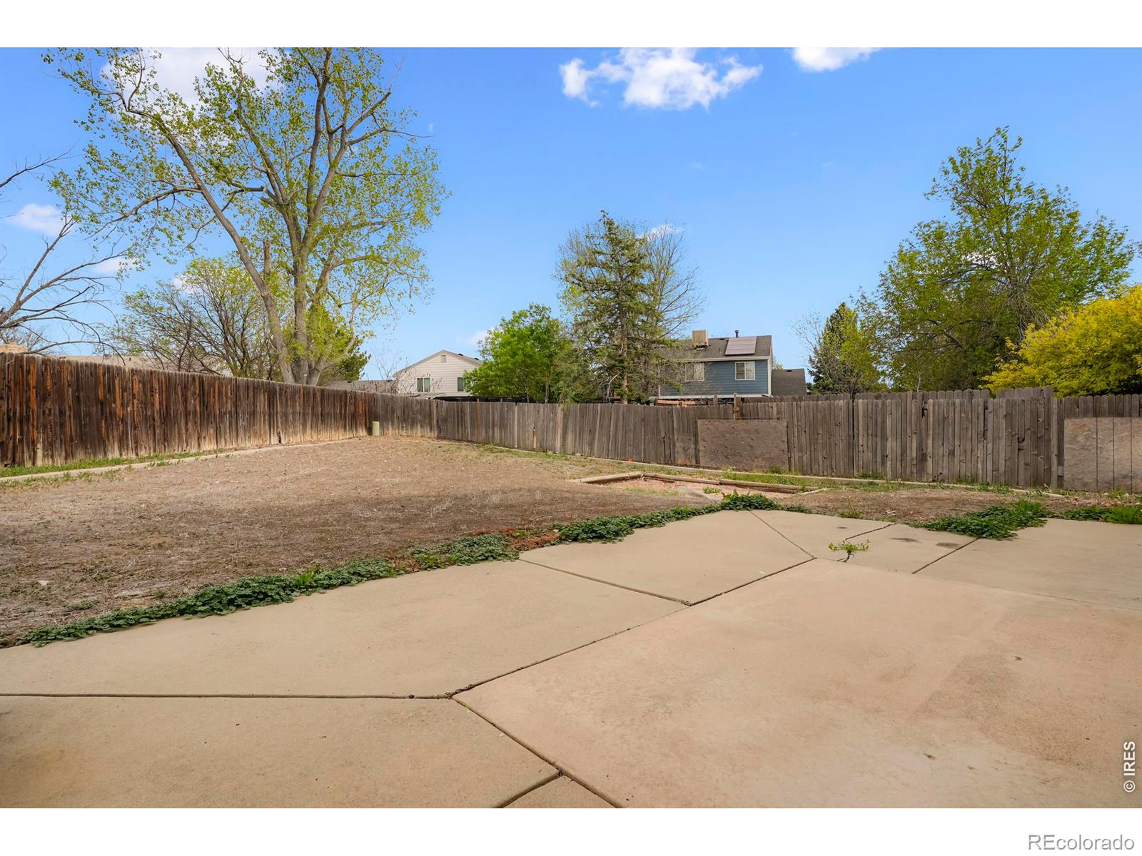 12528 Ash Street Thornton CO 80241