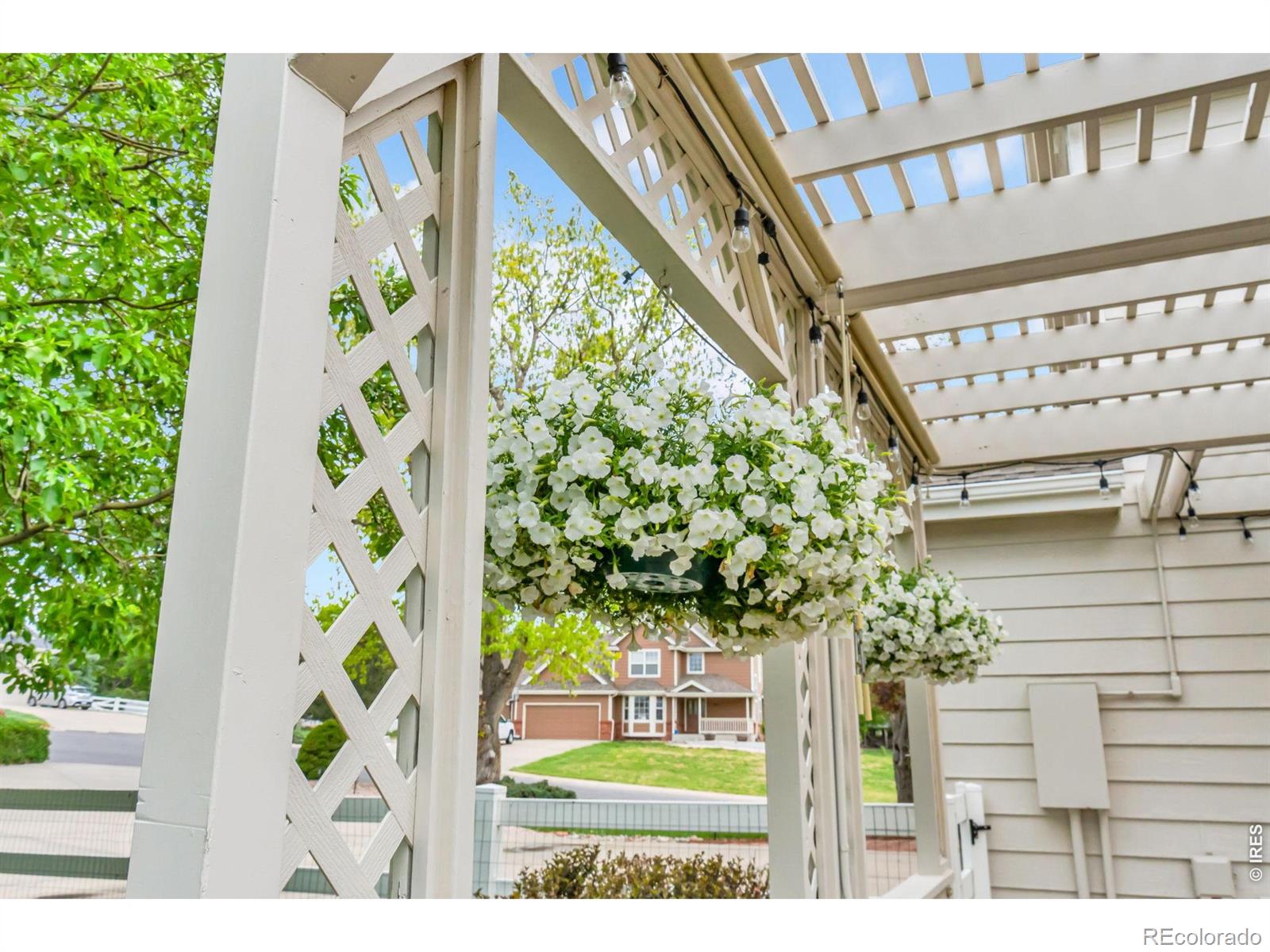 503 Eagle Crest Court Loveland CO 80537
