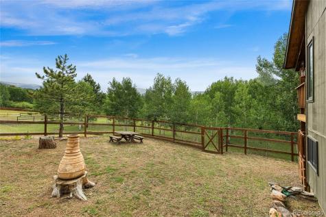 193 Twilight Terrace Drive Bailey CO 80421