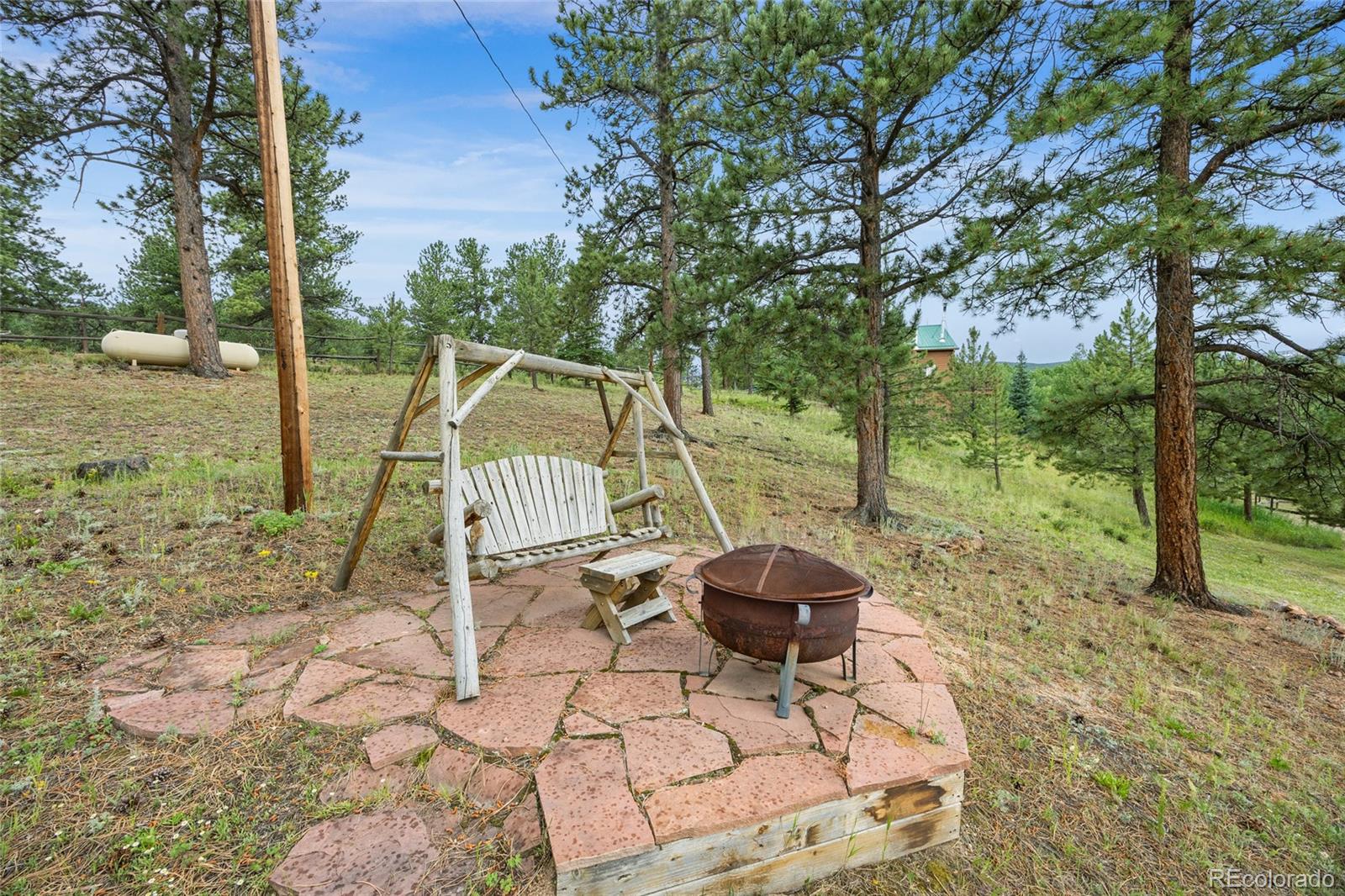 193 Twilight Terrace Drive Bailey CO 80421