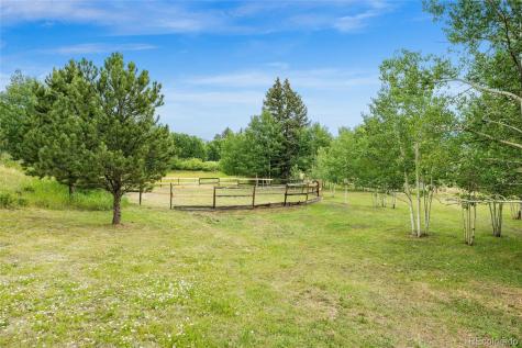 193 Twilight Terrace Drive Bailey CO 80421