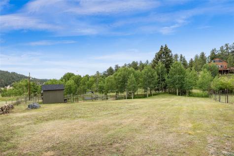193 Twilight Terrace Drive Bailey CO 80421