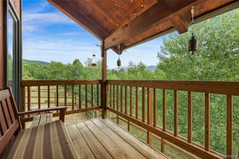 193 Twilight Terrace Drive Bailey CO 80421