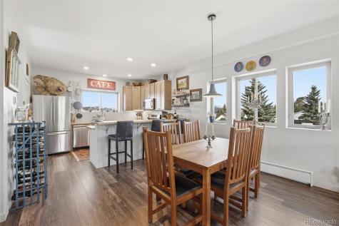 507 Alder Street Leadville CO 80461
