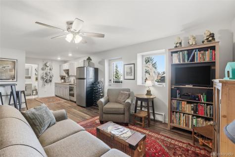 507 Alder Street Leadville CO 80461