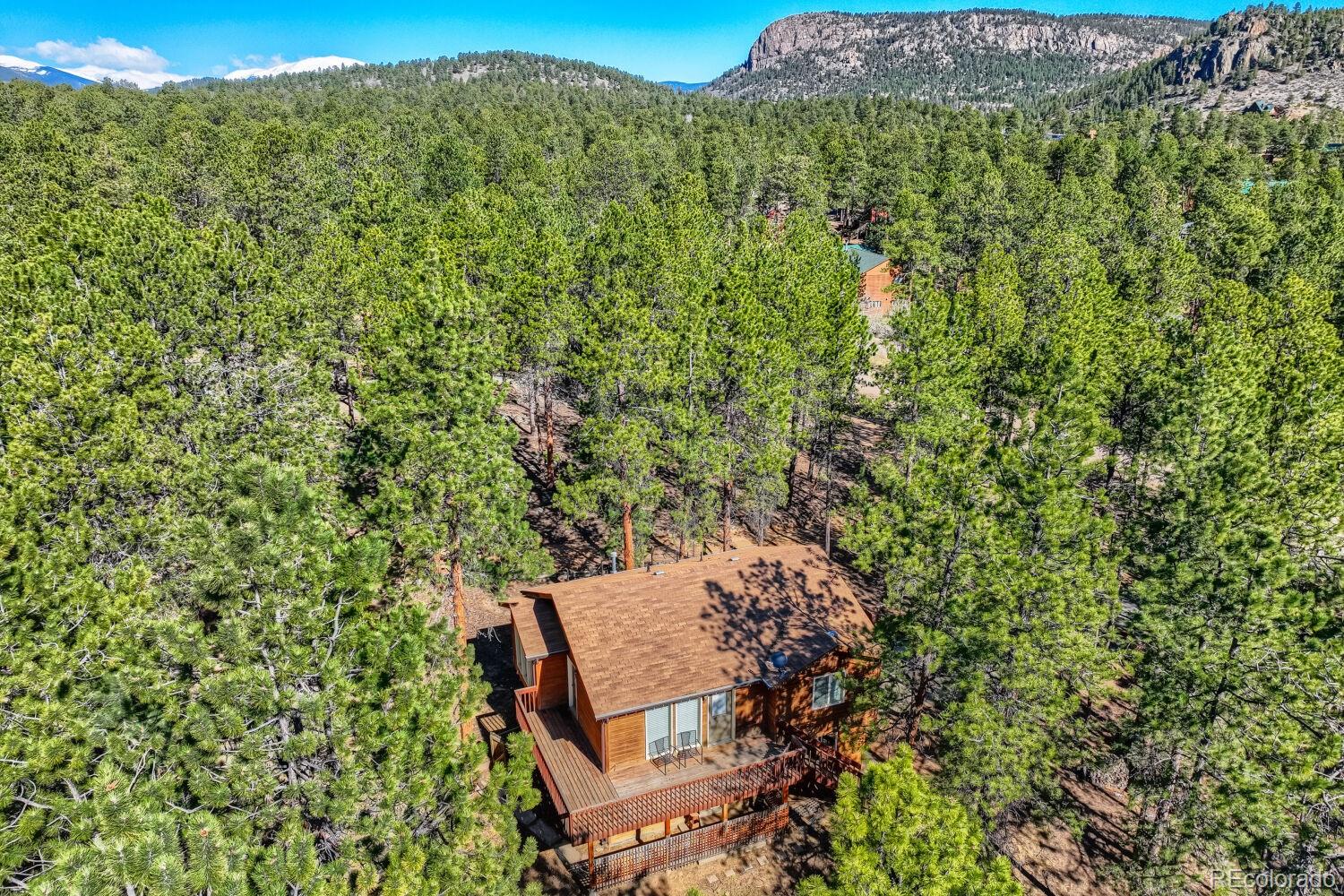 261 Impala Trail Bailey CO 80421