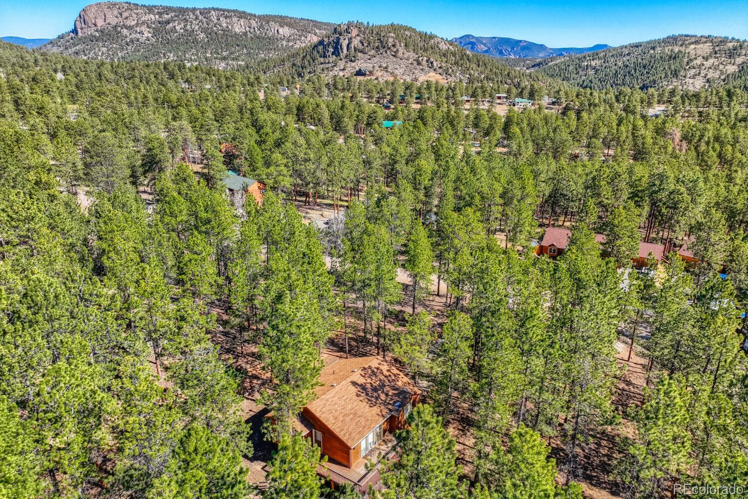 261 Impala Trail Bailey CO 80421