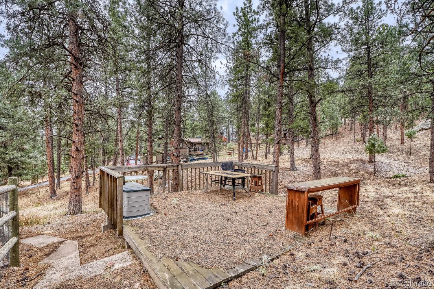 261 Impala Trail Bailey CO 80421