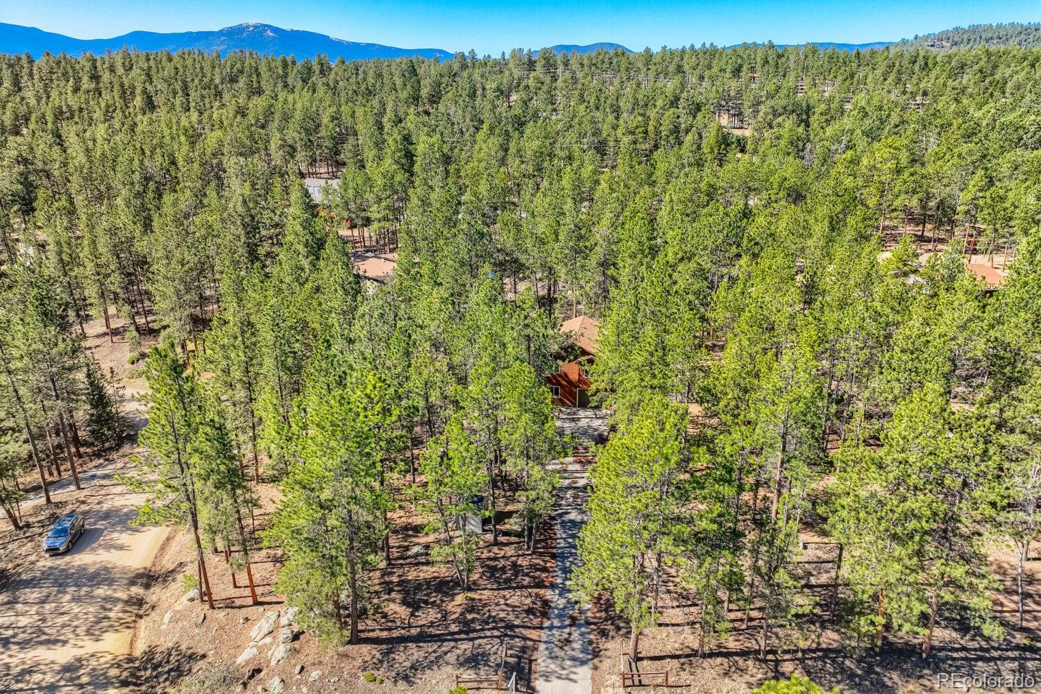 261 Impala Trail Bailey CO 80421