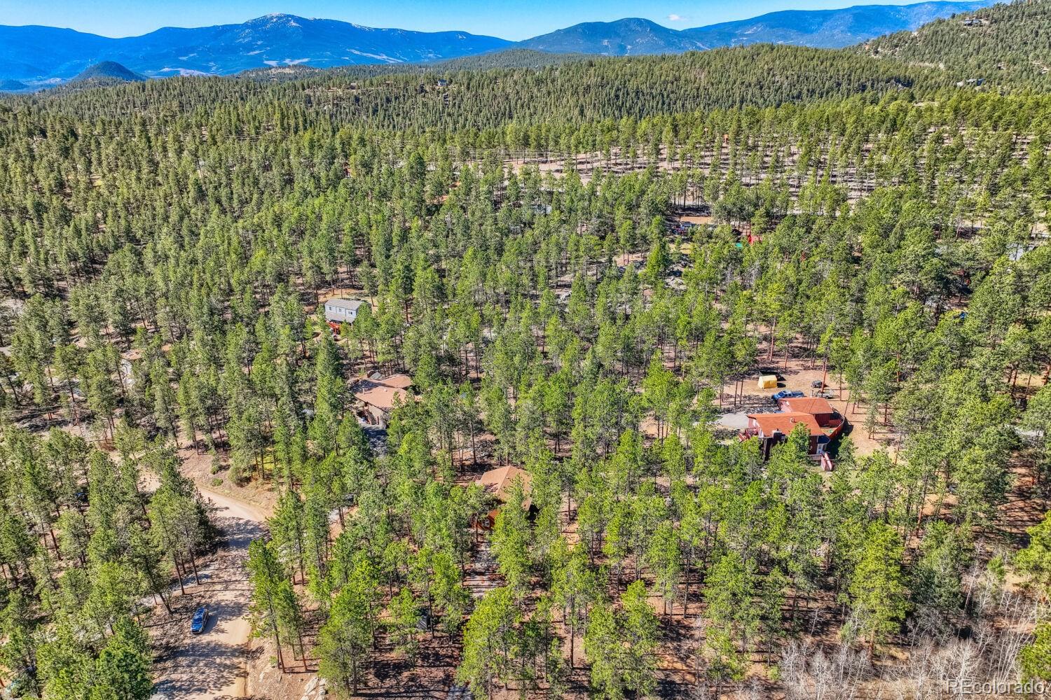 261 Impala Trail Bailey CO 80421