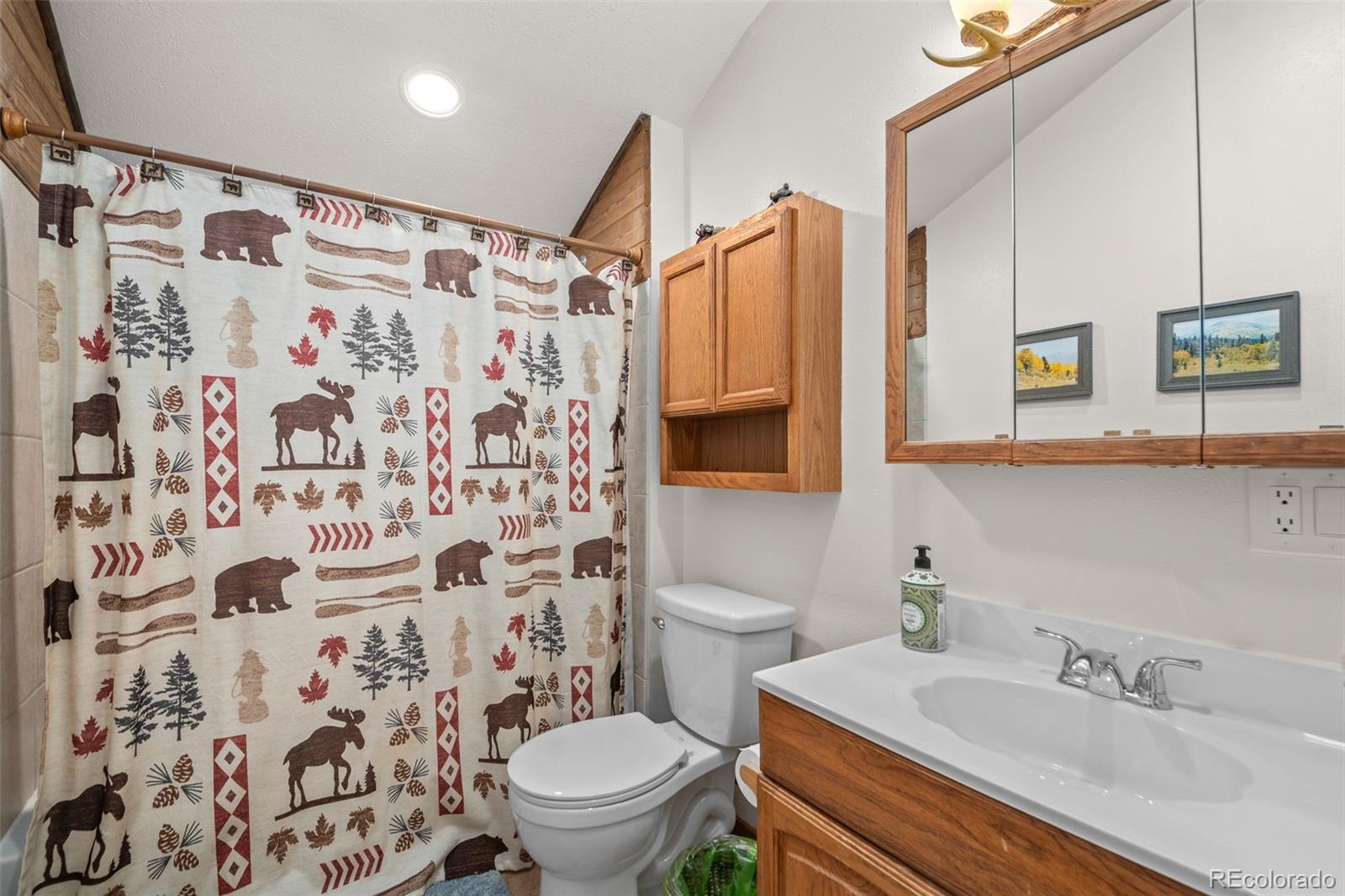 838 Silver Creek Road Idaho Springs CO 80452
