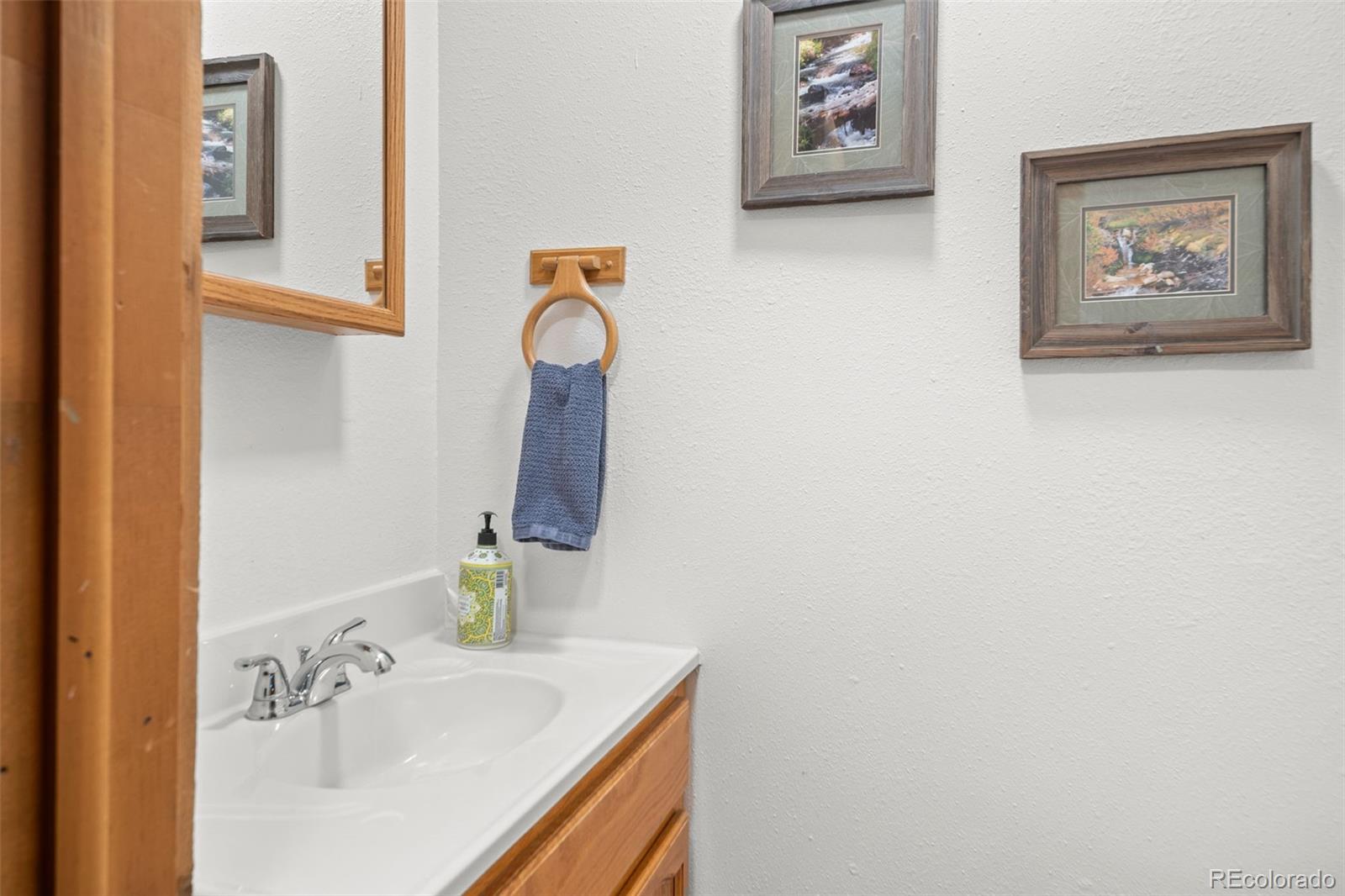 838 Silver Creek Road Idaho Springs CO 80452