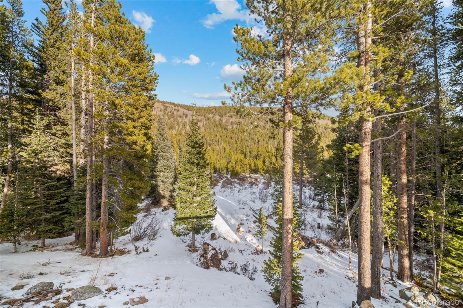 838 Silver Creek Road Idaho Springs CO 80452