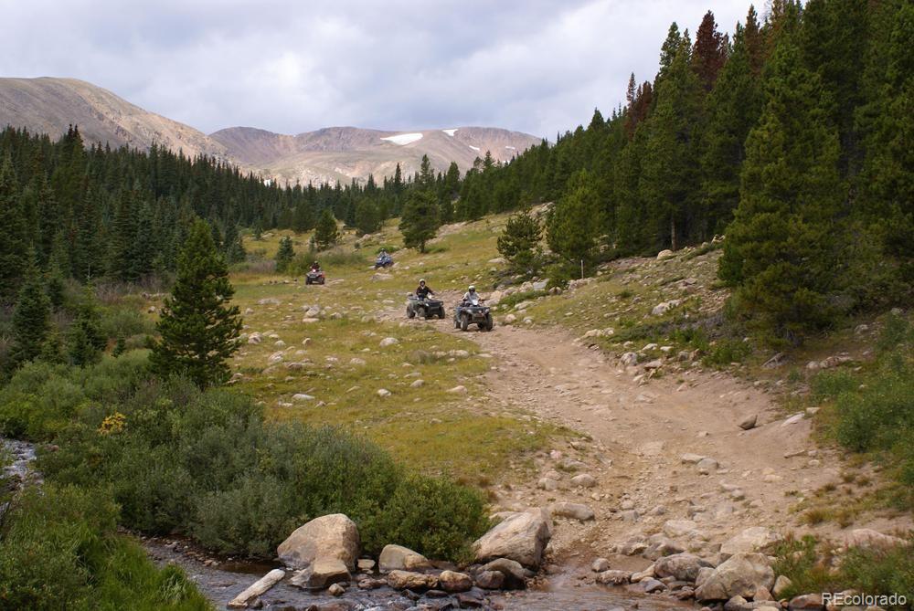 838 Silver Creek Road Idaho Springs CO 80452