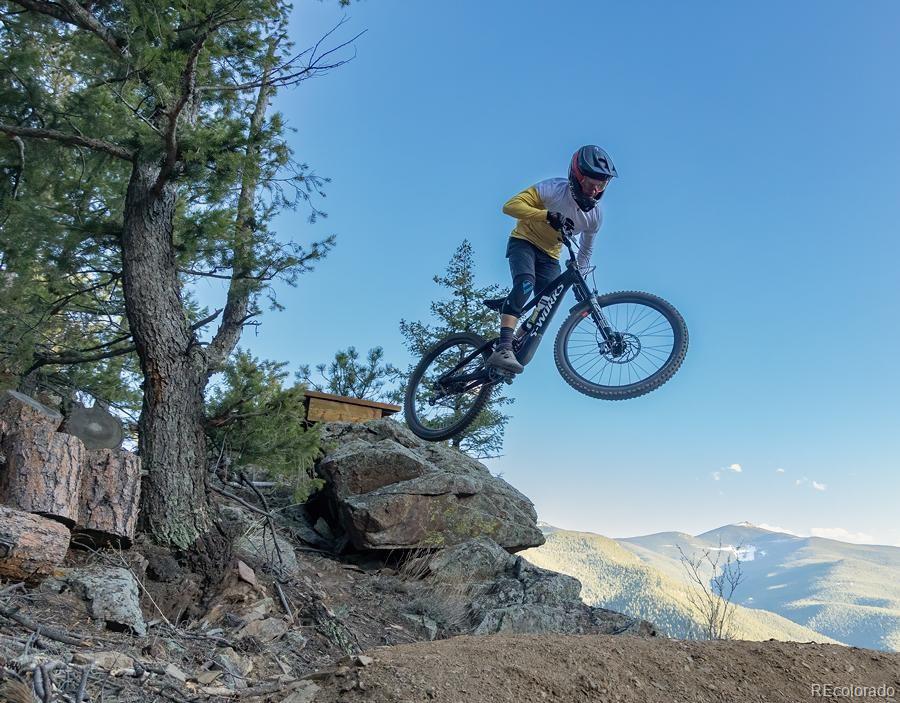 838 Silver Creek Road Idaho Springs CO 80452